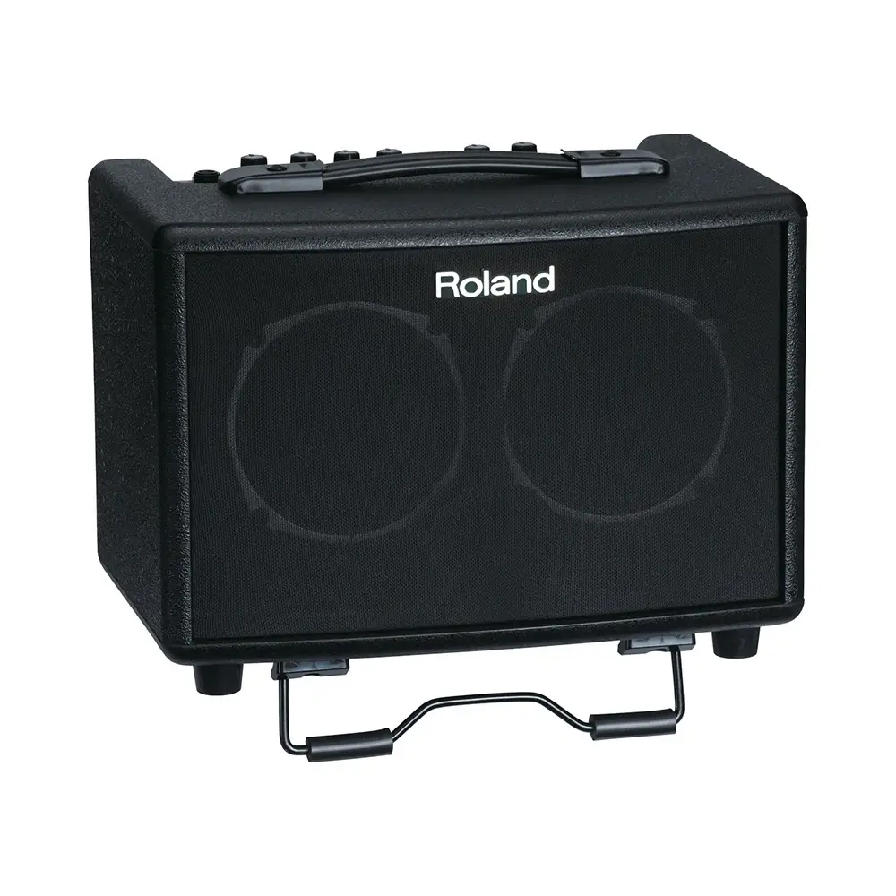 Roland AC-33 30 Watt Akustik Enstrüman Amfisi - 2