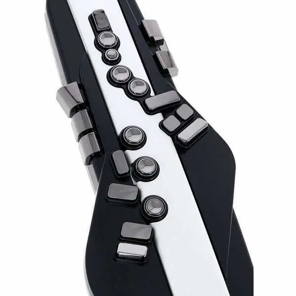 Roland AE-20 Aerophone Dijital Nefesli Enstrüman - 5