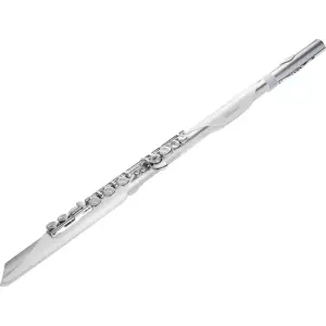 ROLAND AE-BRISA Aerophone Dijital Nefesli Enstrüman - 1