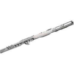 ROLAND AE-BRISA Aerophone Dijital Nefesli Enstrüman - 2
