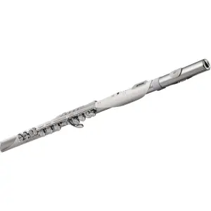 ROLAND AE-BRISA Aerophone Dijital Nefesli Enstrüman - 2