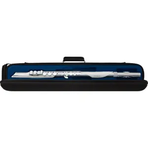 ROLAND AE-BRISA Aerophone Dijital Nefesli Enstrüman - 3