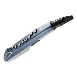 Roland Aerophone Mini Dijital Nefesli Enstrüman - 2