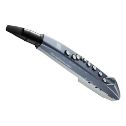 Roland Aerophone Mini Dijital Nefesli Enstrüman - 5