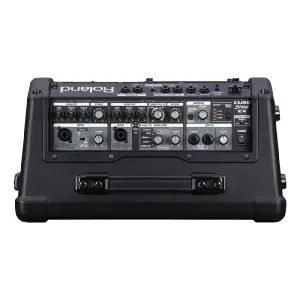 Roland CUBE Street EX Pilli Taşınabilir Stereo Amfi - 3