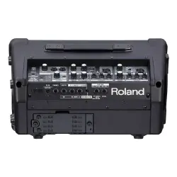 Roland CUBE Street EX Pilli Taşınabilir Stereo Amfi - 4