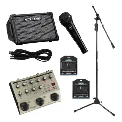 Roland CUBE Street EX Solo Akustik Performans Seti - 1