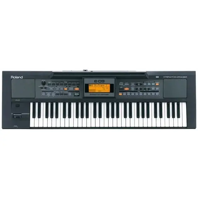 Roland E-09 Aranjör Klavye - 1