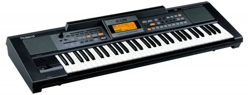 Roland E-09 Aranjör Klavye - 2