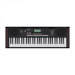 ROLAND E-X10 Tuş Hassasiyetli Ritimli Org Klavye - Roland