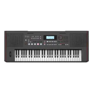 Roland E-X50 61 Tuşlu Aranjör Klavye - 4