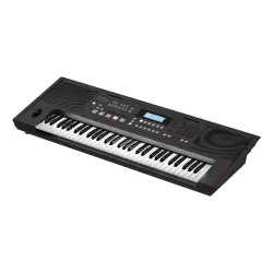 Roland E-X50 61 Tuşlu Aranjör Klavye - 5