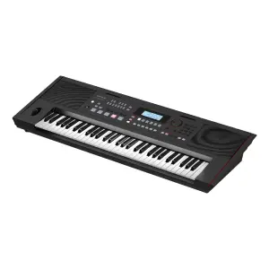 Roland E-X50 61 Tuşlu Aranjör Klavye - 5