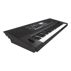Roland E-X50 61 Tuşlu Aranjör Klavye - 6