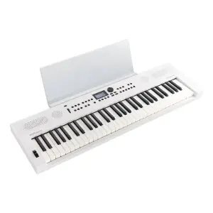 Roland GO:KEYS 5 61 Tuşlu Dokunma Hassasiyetli Taşınabilir Klavye (Beyaz) - 2