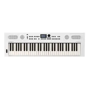Roland GO:KEYS 5 61 Tuşlu Dokunma Hassasiyetli Taşınabilir Klavye (Beyaz) - 3