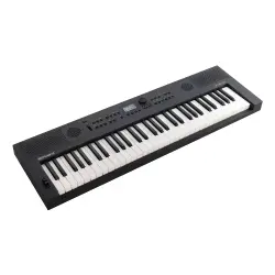 Roland GO:KEYS 5 61 Tuşlu Dokunma Hassasiyetli Taşınabilir Klavye (Grafit) - 1