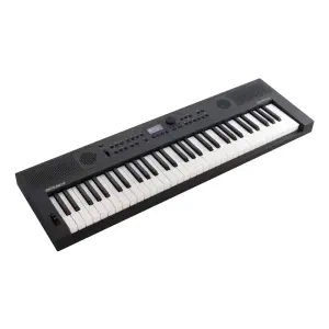 Roland GO:KEYS 5 61 Tuşlu Dokunma Hassasiyetli Taşınabilir Klavye (Grafit) - 1