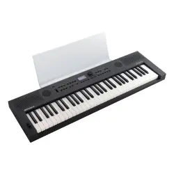 Roland GO:KEYS 5 61 Tuşlu Dokunma Hassasiyetli Taşınabilir Klavye (Grafit) - 2