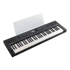 Roland GO:KEYS 5 61 Tuşlu Dokunma Hassasiyetli Taşınabilir Klavye (Grafit) - 2