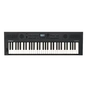 Roland GO:KEYS 5 61 Tuşlu Dokunma Hassasiyetli Taşınabilir Klavye (Grafit) - 3