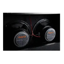 Roland JC-40 Jazz Chorus 40W 2x10 Gitar Amfisi - 6