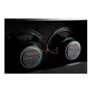 Roland JC-40 Jazz Chorus 40W 2x10 Gitar Amfisi - 6