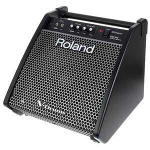 Roland PM-100 80 Watt Davul Monitörü - 1