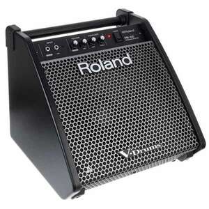 Roland PM-100 80 Watt Davul Monitörü - 3