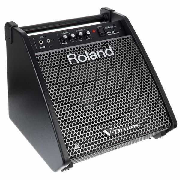 Roland PM-100 80 Watt Davul Monitörü