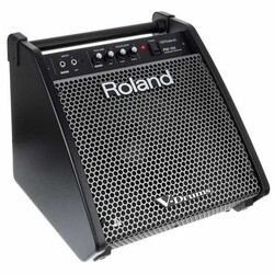 Roland PM-100 80 Watt Davul Monitörü - Thumbnail