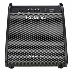 Roland PM-200 180 Watt Davul Monitörü - Thumbnail