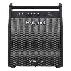 Roland PM-200 V-Drums Kişisel Davul Monitörü (180W) - 2