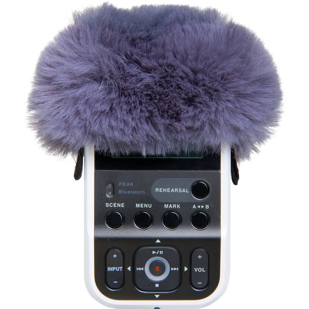 ROLAND R07-WS R-07 Gürültü Azatıcı - 1