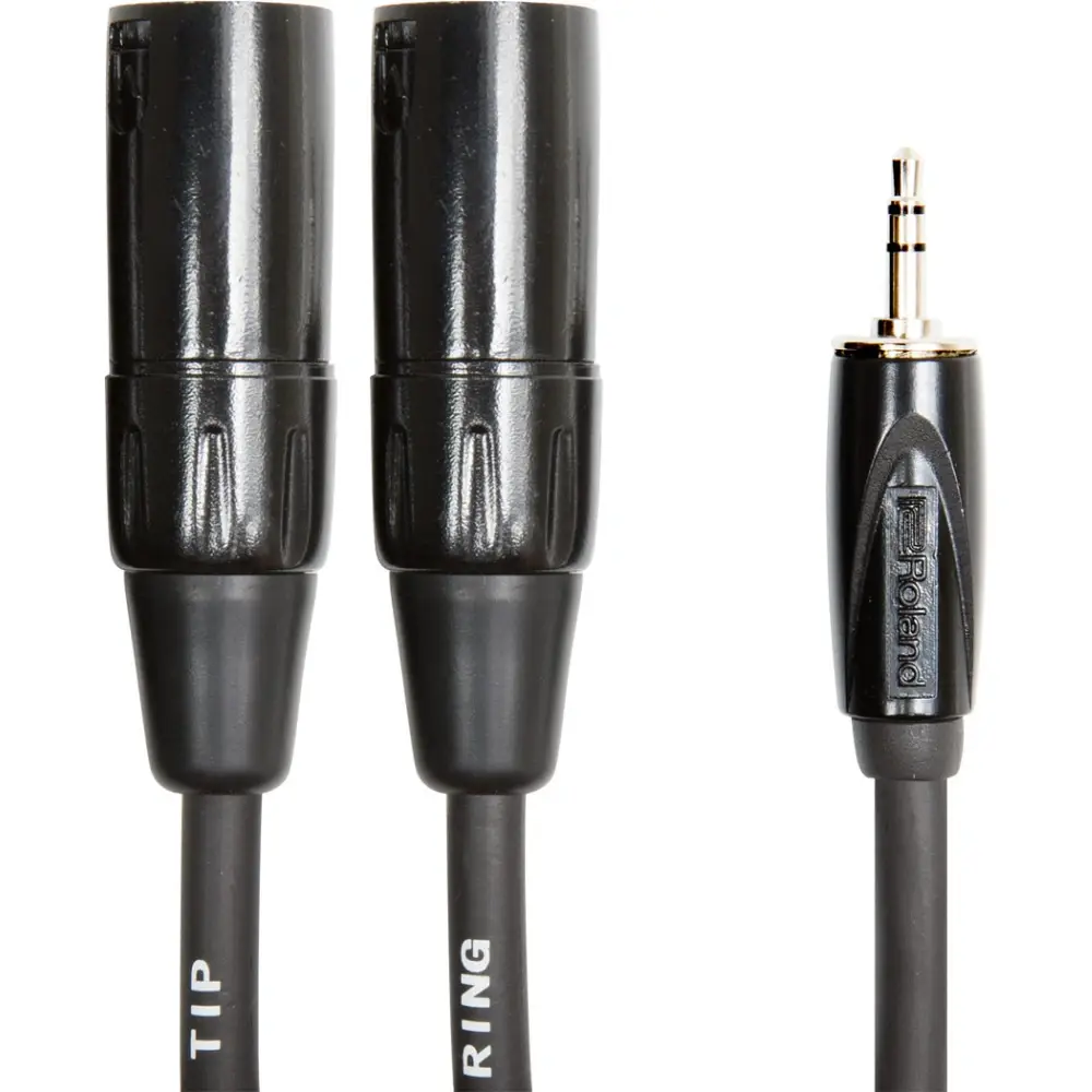 Roland RCC-10-352XM 10 FT 3.5 MM TP 2X XLR M - 1