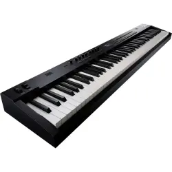 ROLAND RD-88 EX Siyah Dijital Taşınabilir Sahne Piyanosu - 2