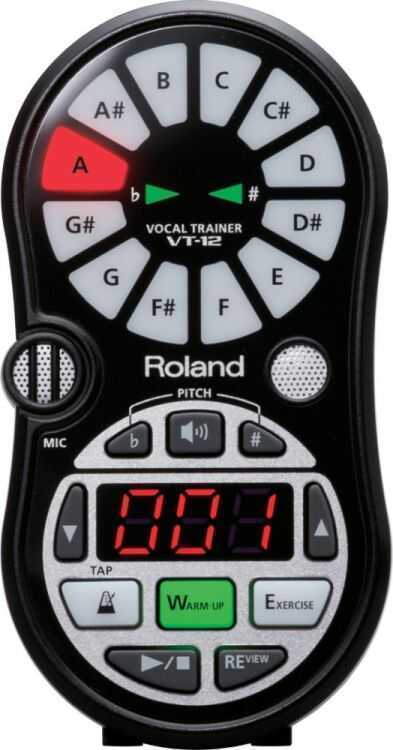 Roland - Roland VT-12-BK Vocal Trainer