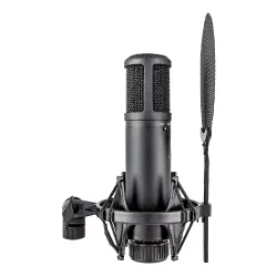 sE Electronics sE2200 Geniş Diyaframlı Kondenser Mikrofon - 3