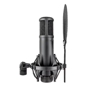 sE Electronics sE2200 Geniş Diyaframlı Kondenser Mikrofon - 3