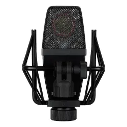 sE Electronics sE4400 Büyük Diyaframlı Çoklu Desenli Kondansatör Mikrofonu (Gen 2) - 3