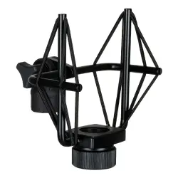 sE Electronics sE4400 Büyük Diyaframlı Çoklu Desenli Kondansatör Mikrofonu (Gen 2) - 4