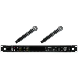 Shure AD24D/SM58 Kablosuz Mikrofon Sistemi (2l'i Paket) - 1