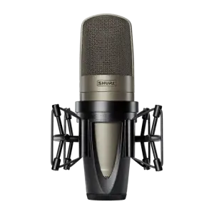 Shure KSM42/SG Geniş Çift Diyaframlı Mikrofon - 3
