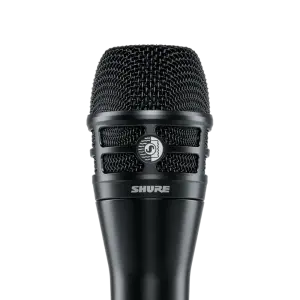 Shure KSM8/B Dualdyne Kardioid Dinamik Vokal Mikrofonu - 1