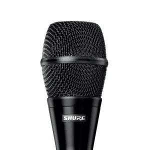 Shure KSM9HS Değiştirilebilir Polar Desenli Kondansatör Mikrofon - 1