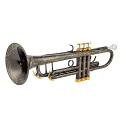 SILVER SDTR-2019B Trompet - Siyah - 2