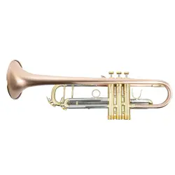 SILVER SDTR-2019HD Trompet - 2