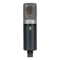 Slate Digital VMS ML-1A Geniş Diyafram Kardioid Kondenser Modelleme Mikrofonu - 2