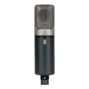 Slate Digital VMS ML-1A Geniş Diyafram Kardioid Kondenser Modelleme Mikrofonu - 2