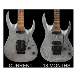 Solar AB1.6FR Chrome Canibalismo 6 Telli Floyd Rose Elektro Gitar - 4